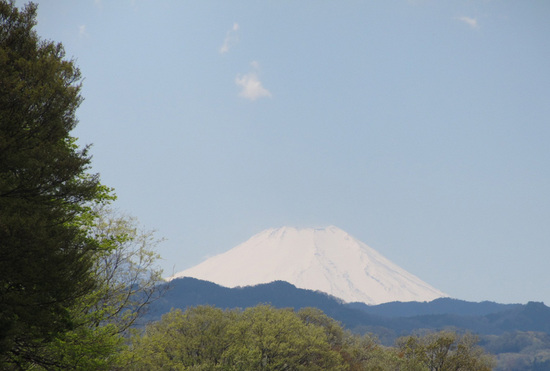 富士山2-9.jpg